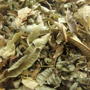 Tisane du Soir