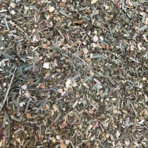Tisane Coup de Fouet