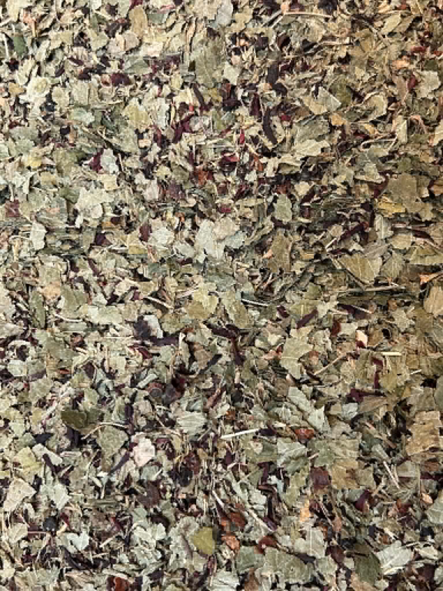 Tisane Instant Vitalité